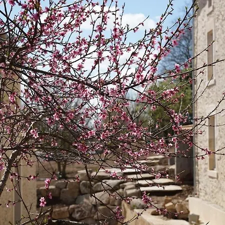 Le Moulin Des Etrebieres *